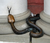 Bronzeschlange vor dem Rostocker Rathaus : Schlange